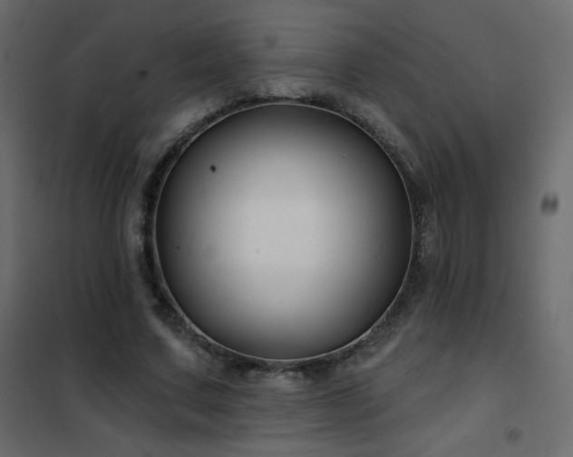 X0000102540683200808081522