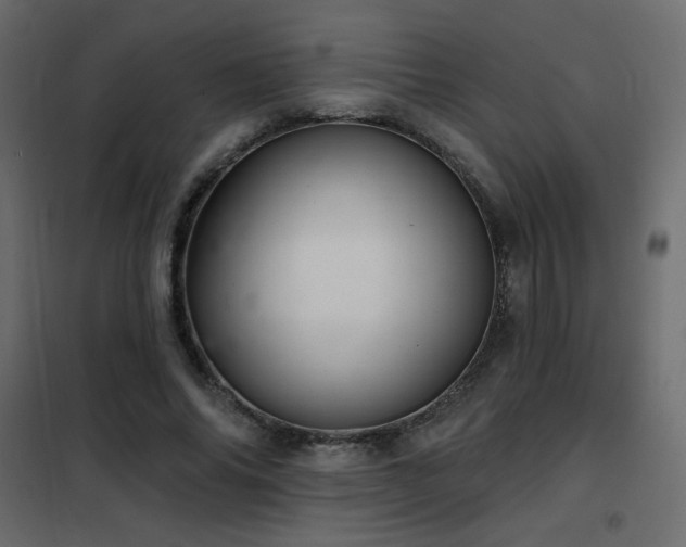 X0000102540686200808081522