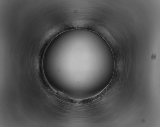 X0000102540687200808081522