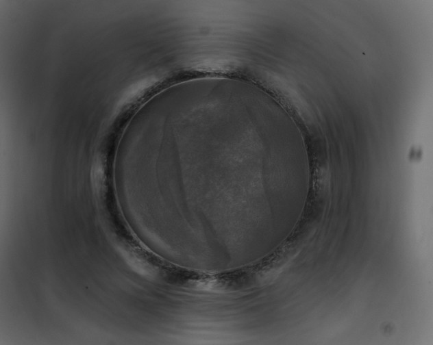 X0000102540688200808081522