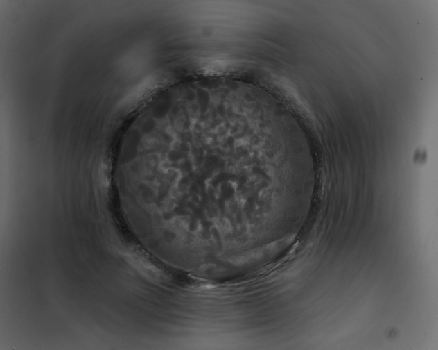 X0000102540691200808081522