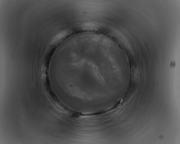 X0000102540692200808081522