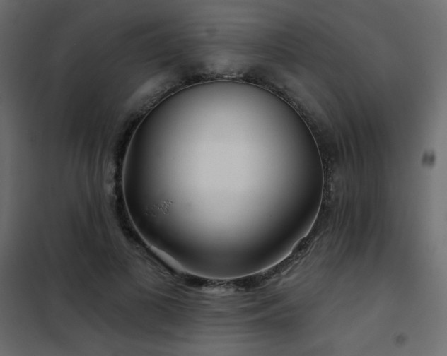X0000102540693200808081522