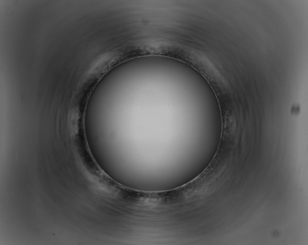 X0000102540694200808081522