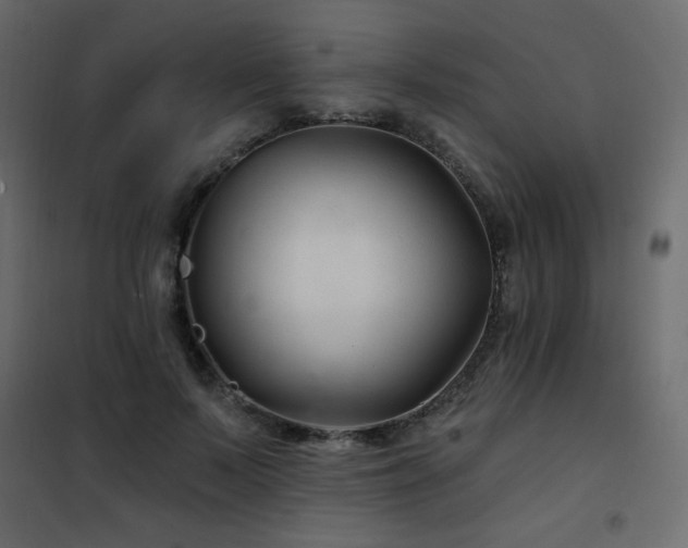 X0000102540695200808081522