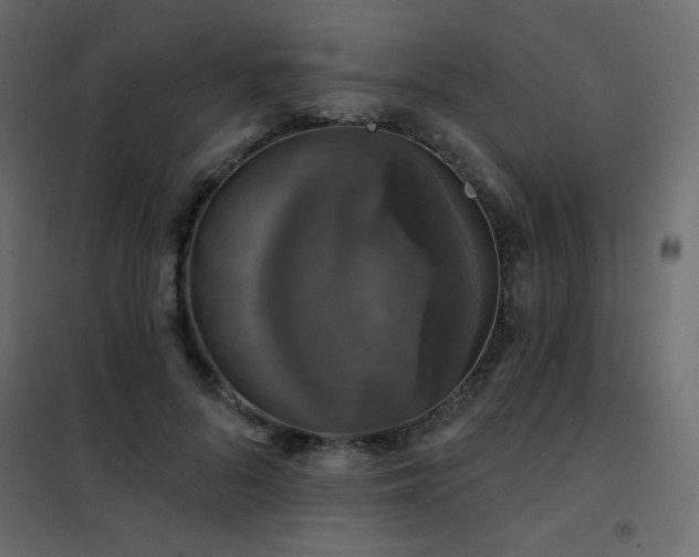 X0000102540696200808081522