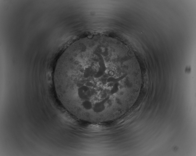 X0000102540699200808081522