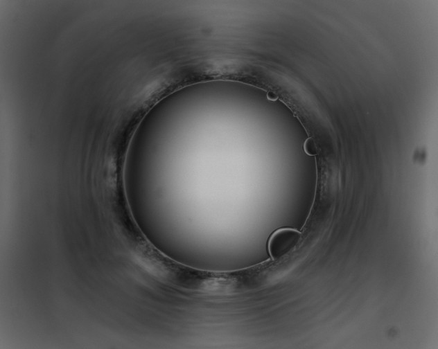 X0000102540700200808081522