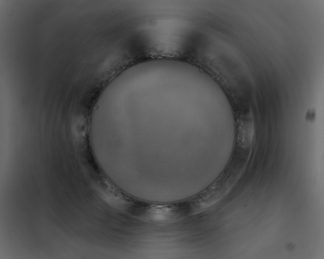 X0000102540701200808081522