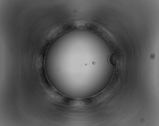 X0000102540702200808081522