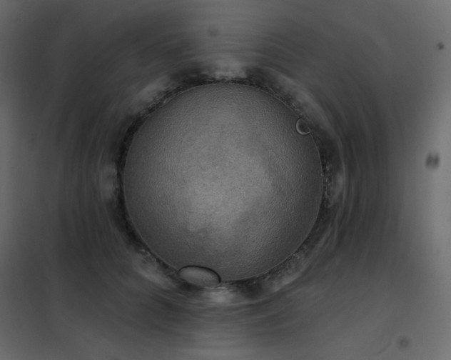 X0000102540704200808081522