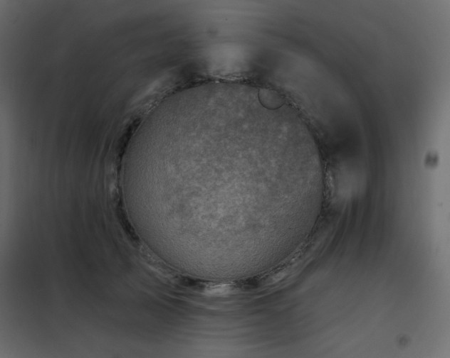 X0000102540705200808081522