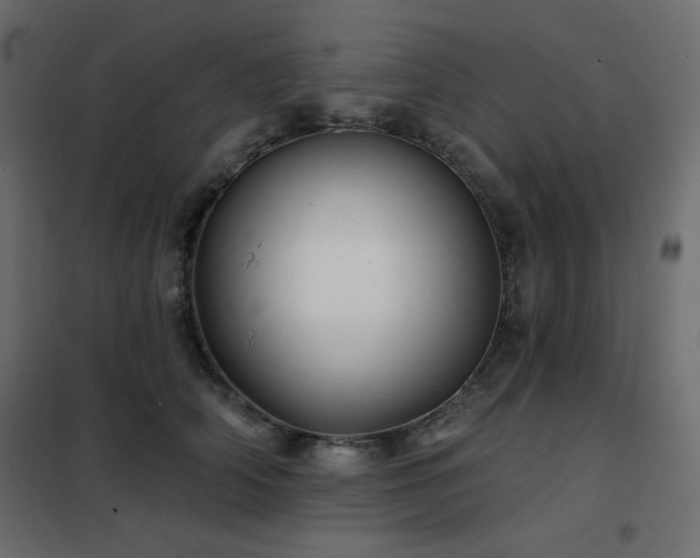 X0000102540706200808081522
