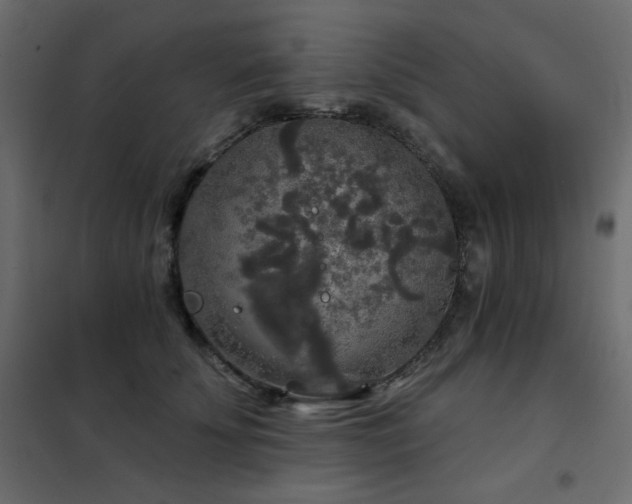 X0000102540707200808081522