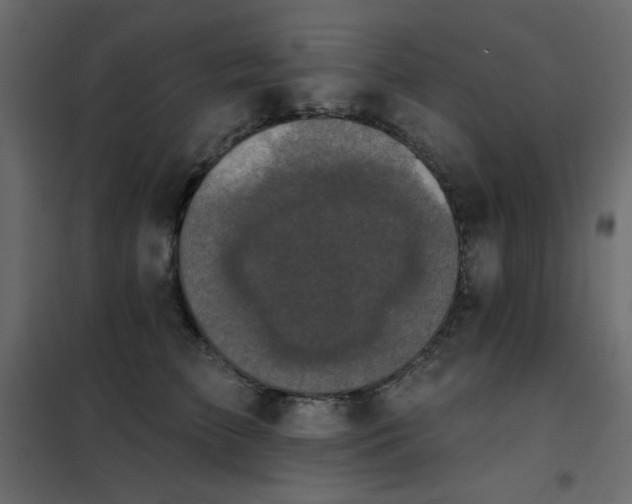 X0000102540709200808081522