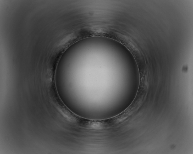 X0000102540710200808081522