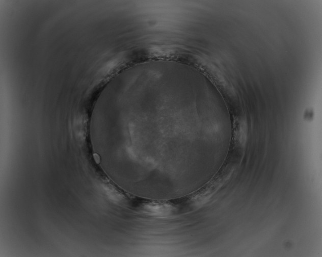 X0000102540712200808081521