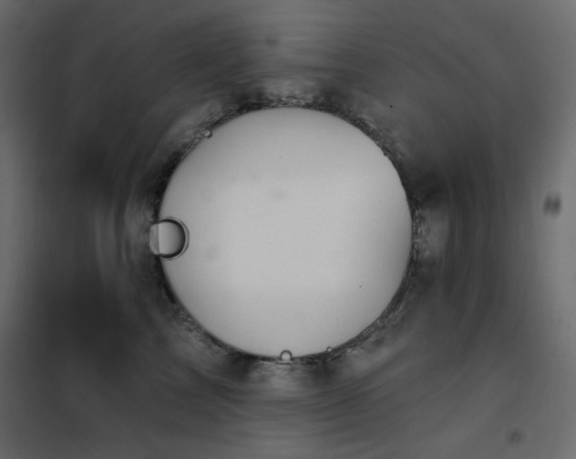 X0000102540713200808081521