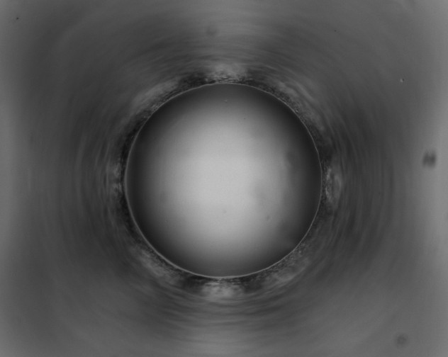 X0000102540714200808081521
