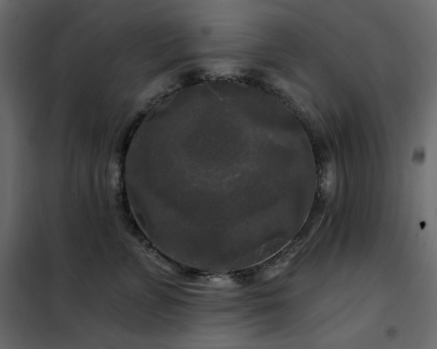 X0000102540715200808081521