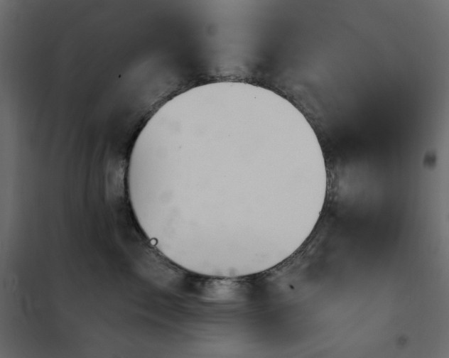 X0000102540717200808081521