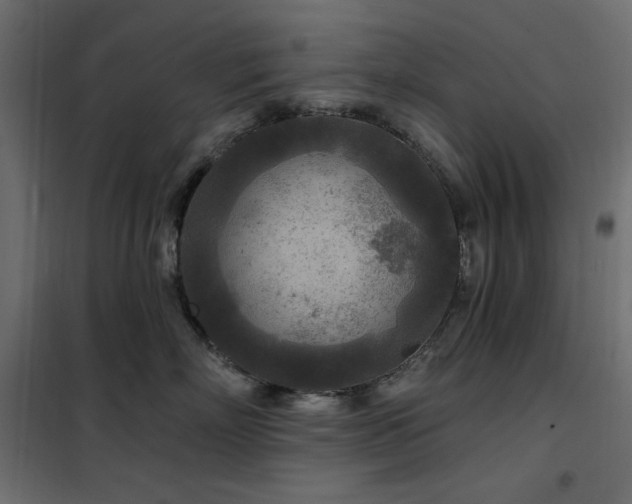 X0000102540718200808081521