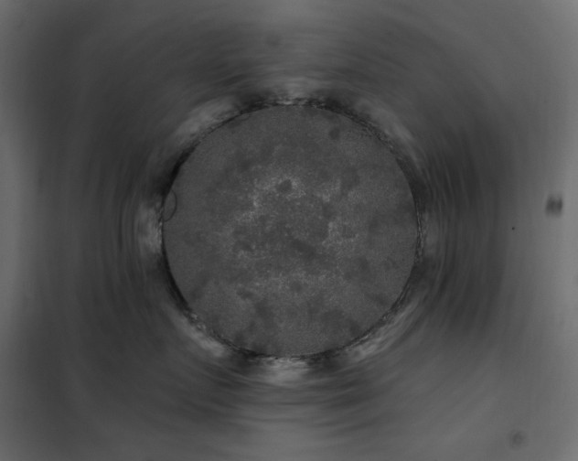 X0000102540719200808081521