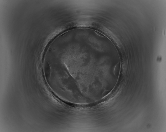X0000102540721200808081521