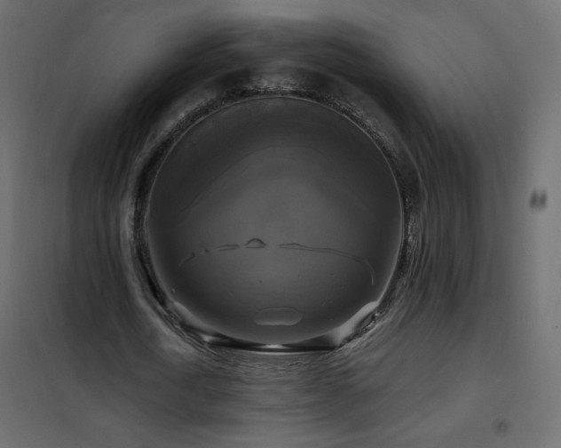 X0000102540722200808081521