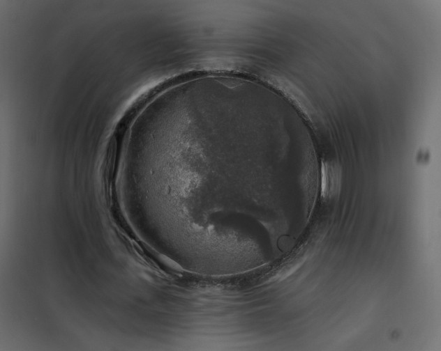 X0000102540723200808081521