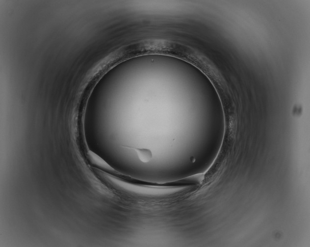 X0000102540725200808081521