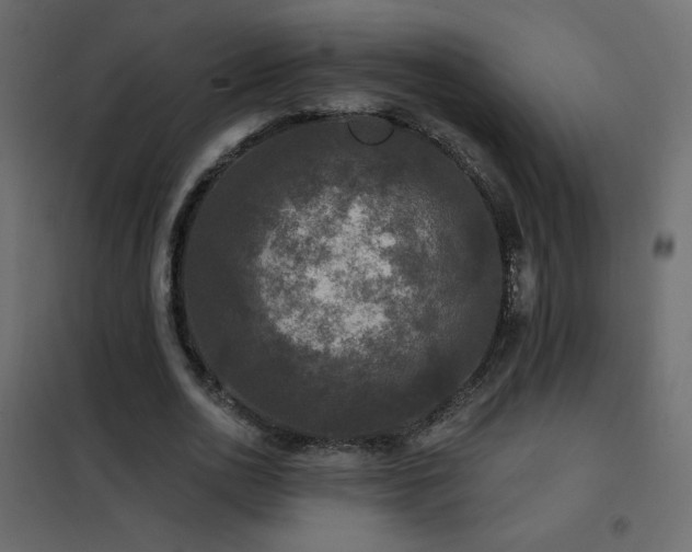 X0000102540726200808081521