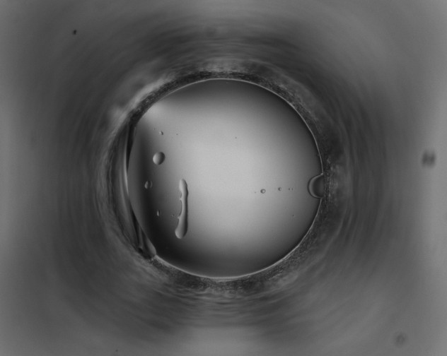 X0000102540727200808081521