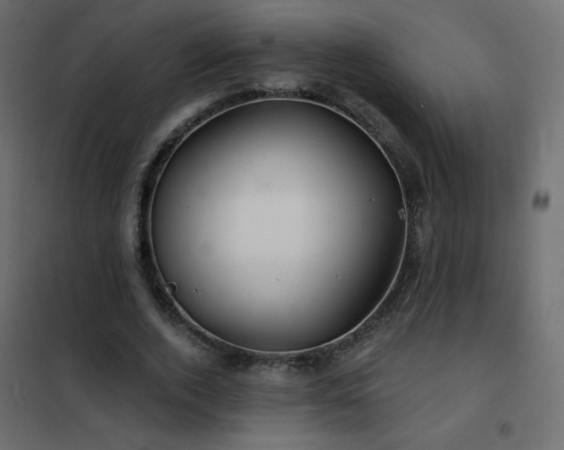 X0000102540728200808081521