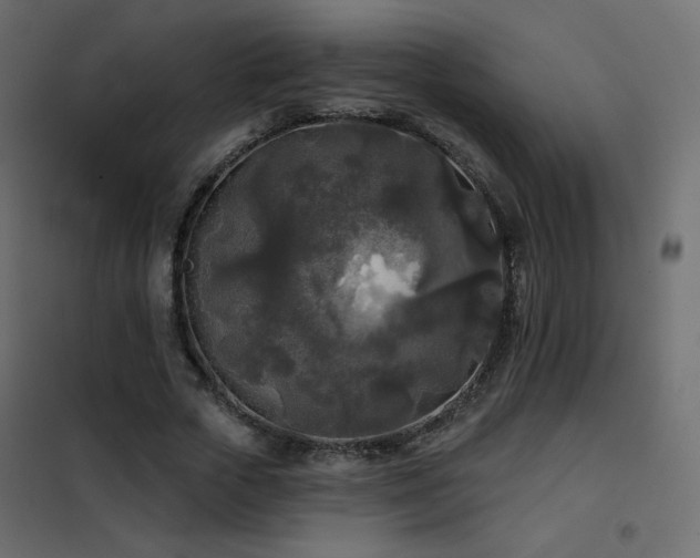 X0000102540729200808081521