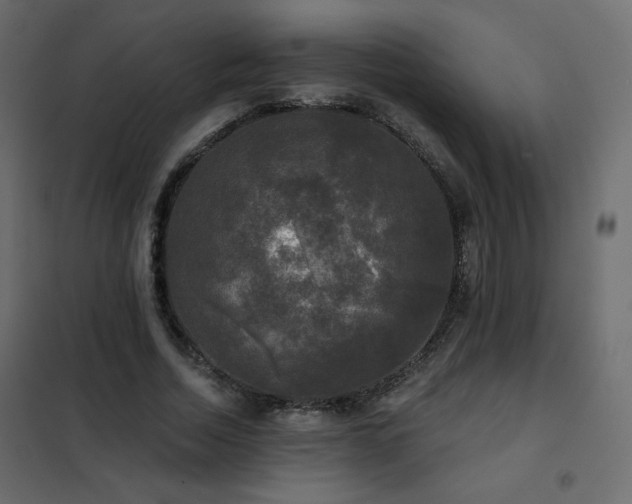 X0000102540730200808081521