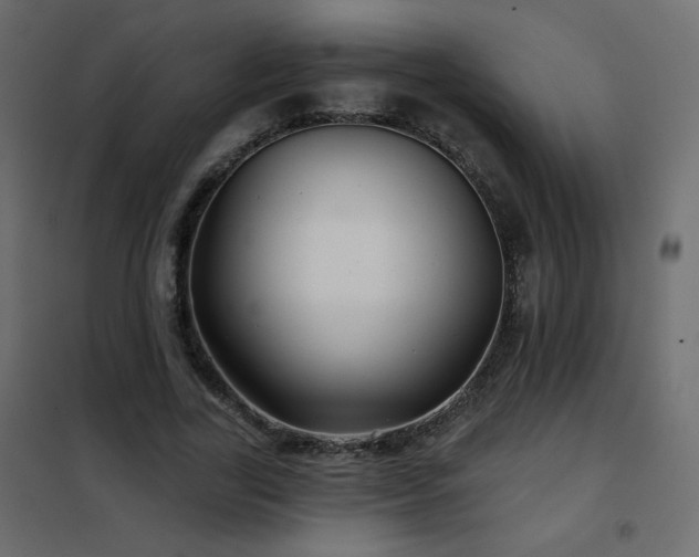 X0000102540731200808081521