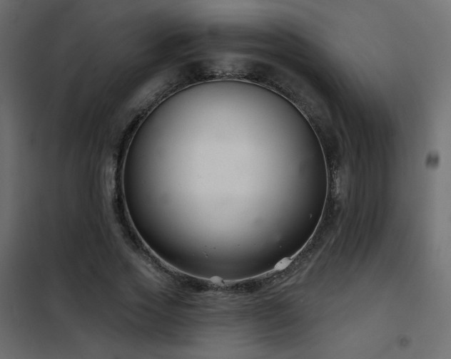 X0000102540733200808081521