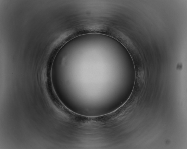 X0000102540734200808081521