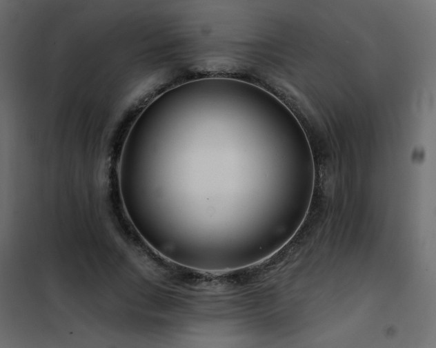 X0000102540735200808081521