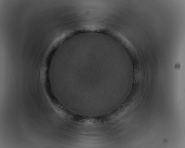 X0000102540736200808081521