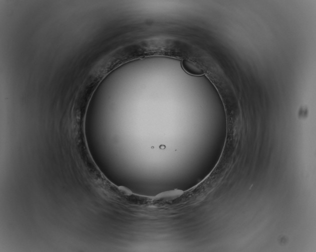 X0000102540737200808081521