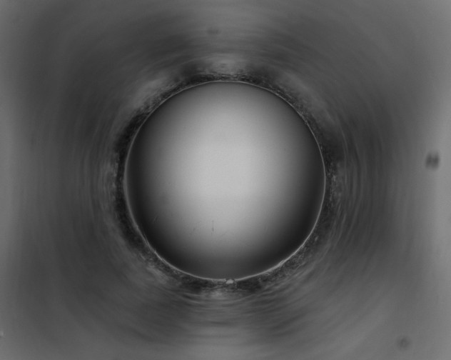 X0000102540739200808081521