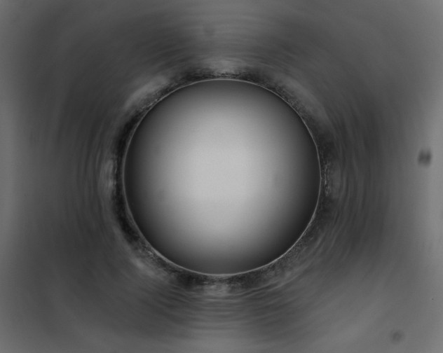 X0000102540740200808081521