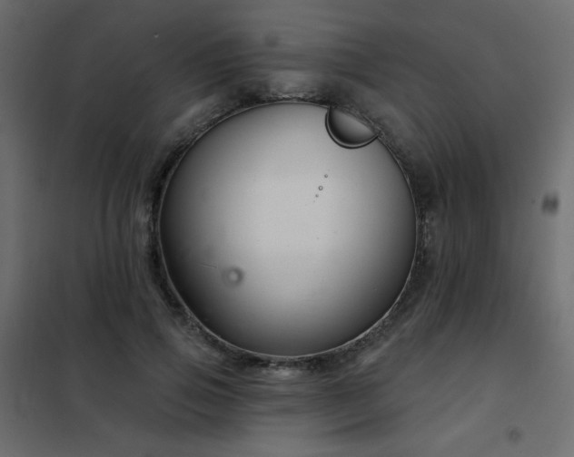 X0000102540741200808081521
