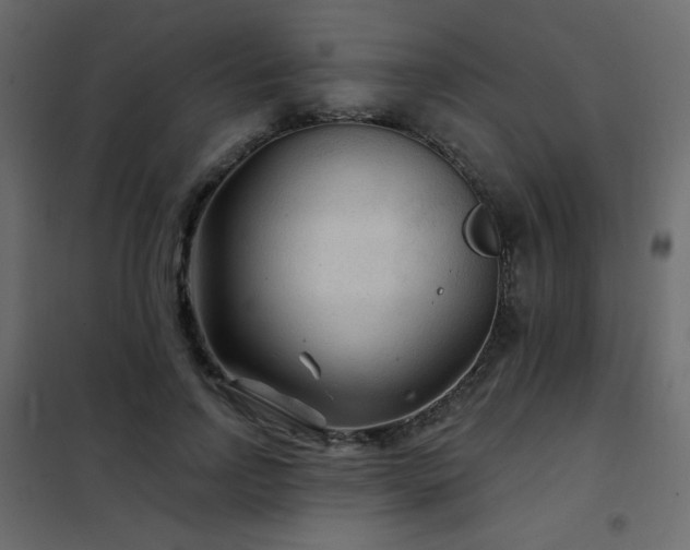 X0000102540742200808081521
