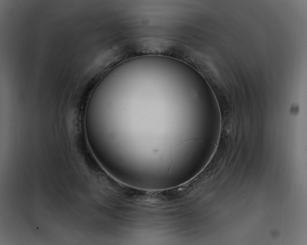 X0000102540743200808081521