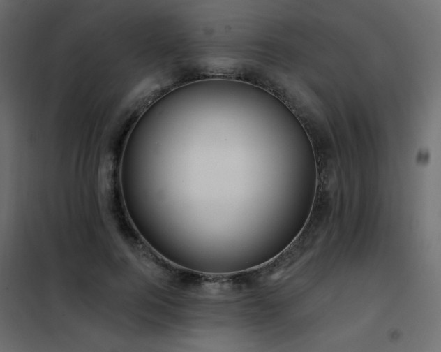 X0000102540744200808081521