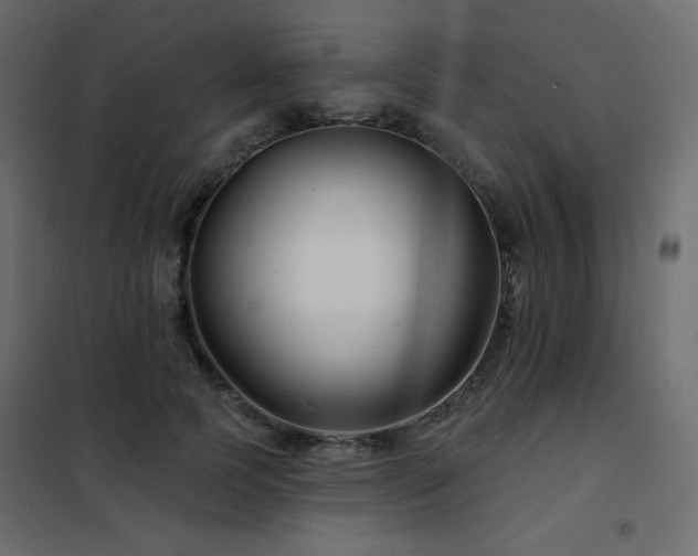 X0000102540745200808081521