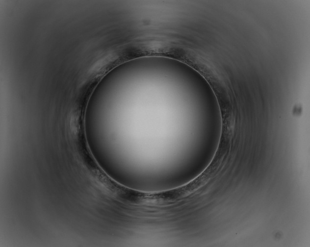 X0000102540746200808081521